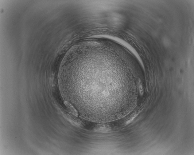 X0000068840750200605051301