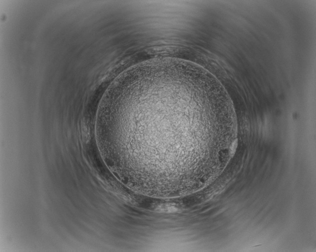 X0000068840751200605051301