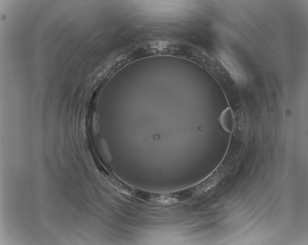 X0000068840754200605051301