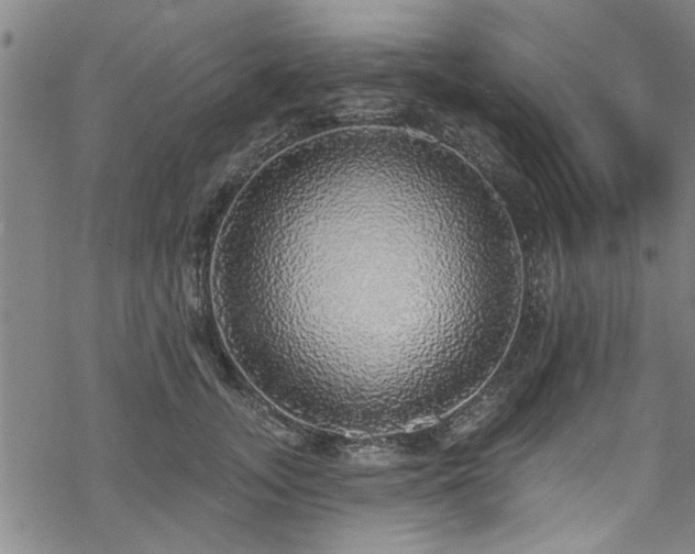 X0000068840755200605051301