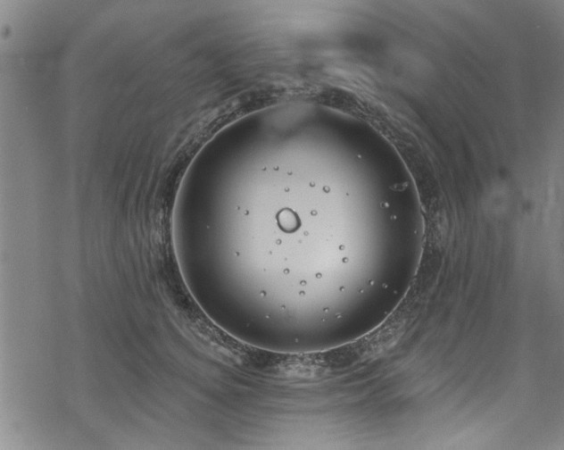 X0000068840756200605051301