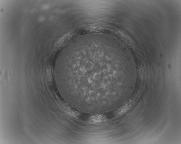 X0000068840757200605051301