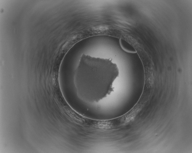 X0000068840758200605051301