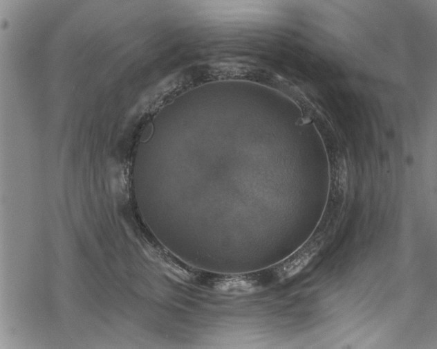 X0000068840759200605051301