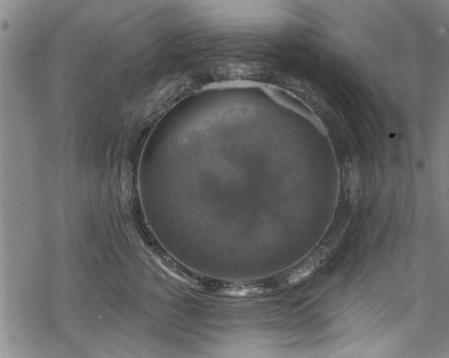 X0000068840760200605051301