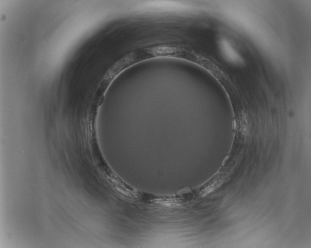 X0000068840763200605051301