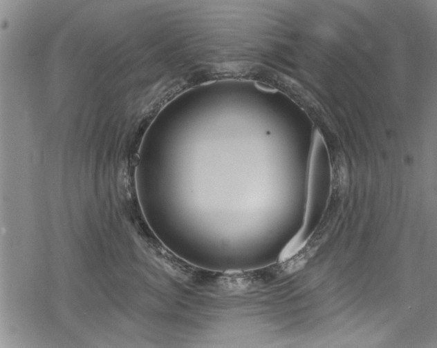 X0000068840764200605051301