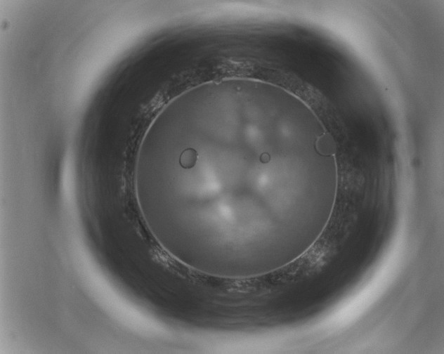 X0000068840765200605051301