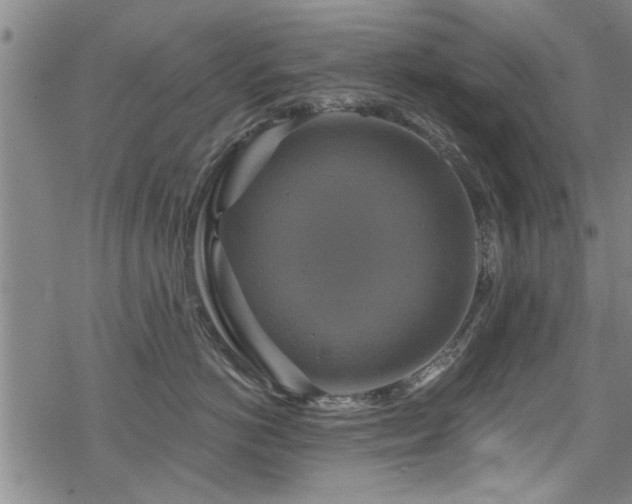 X0000068840766200605051301