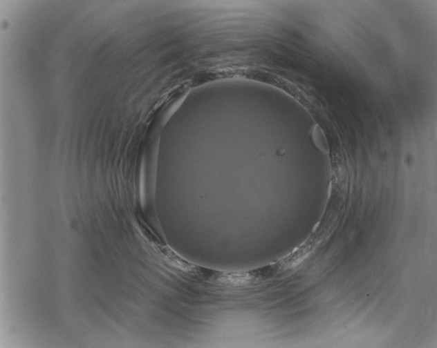 X0000068840767200605051302