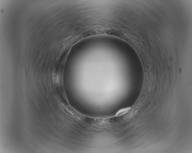 X0000068840768200605051302