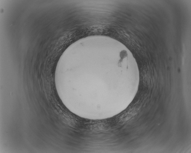 X0000068840769200605051301