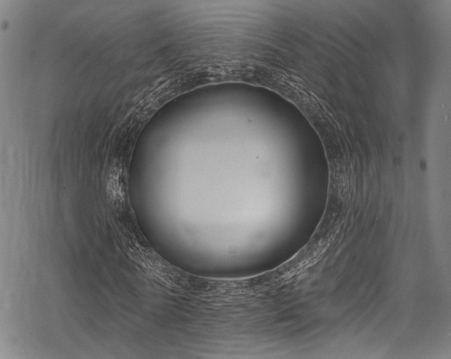 X0000068840770200605051301