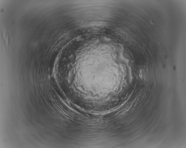 X0000068840771200605051301