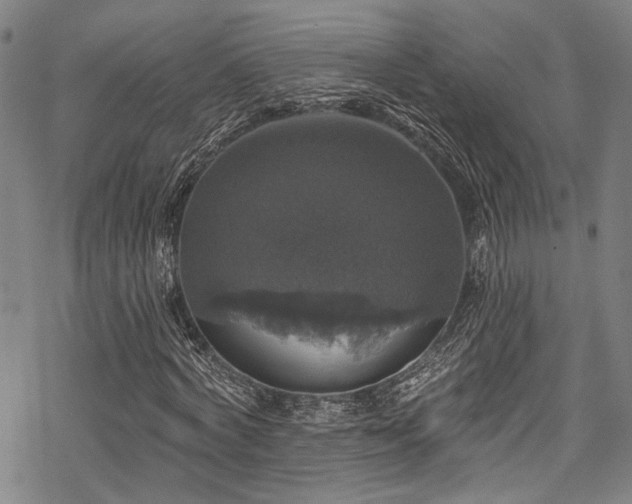 X0000068840772200605051301