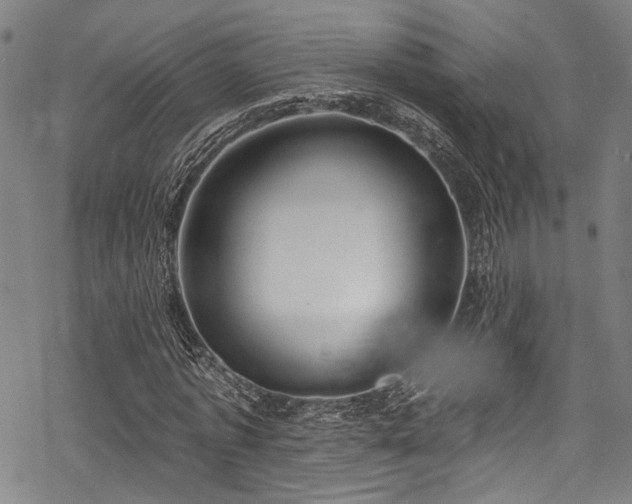 X0000068840773200605051301