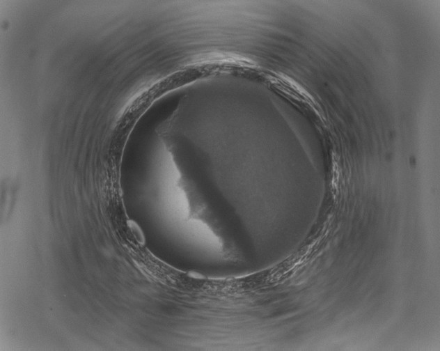 X0000068840775200605051301