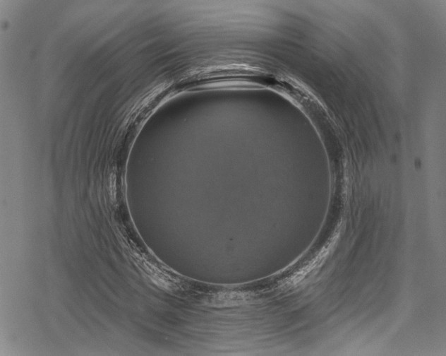 X0000068840777200605051301