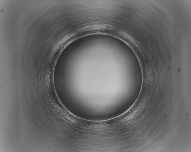 X0000068840778200605051301