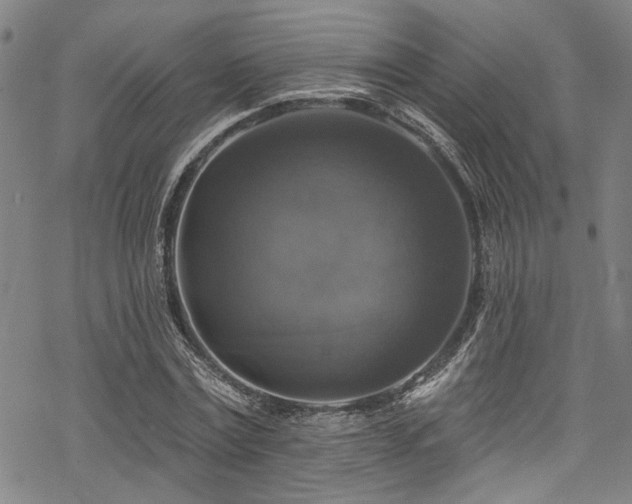 X0000068840779200605051301