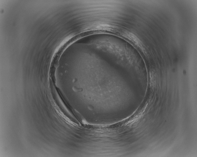 X0000068840780200605051301