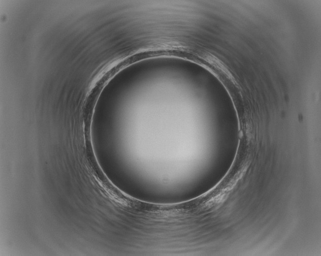 X0000068840781200605051301