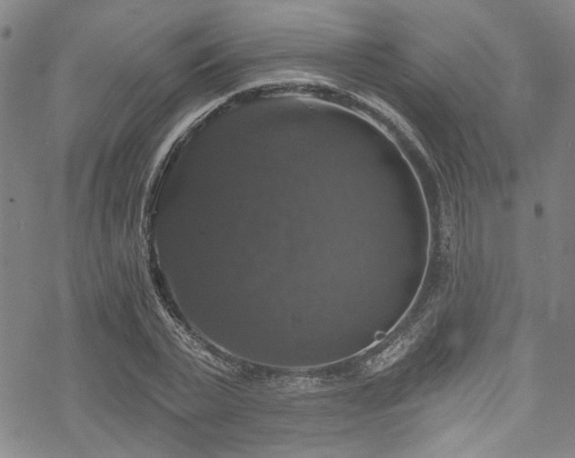 X0000068840783200605051301