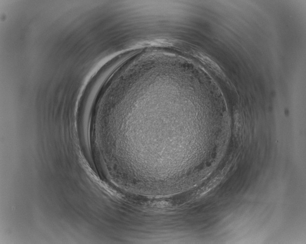 X0000068840784200605051300