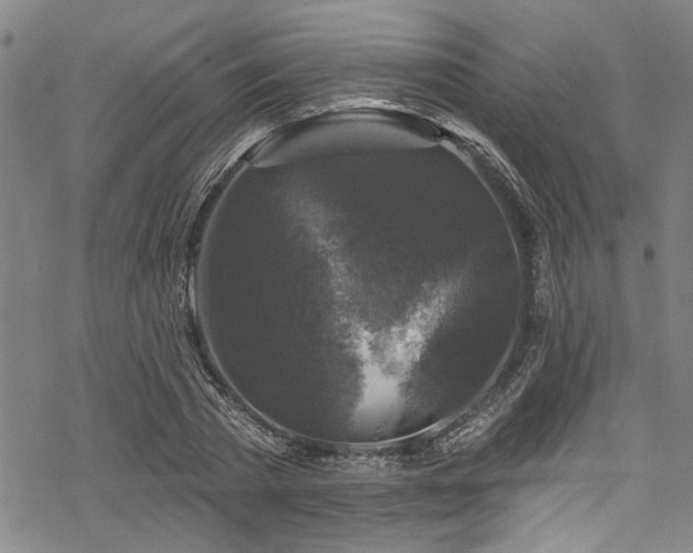 X0000068840785200605051300