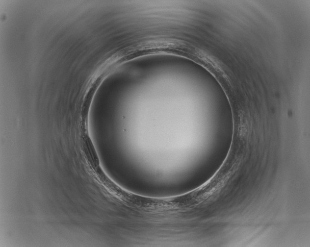 X0000068840786200605051300