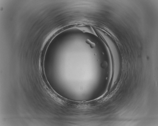 X0000068840788200605051300