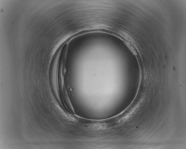 X0000068840789200605051300