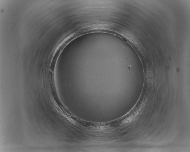 X0000068840790200605051300