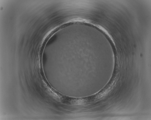 X0000068840791200605051300