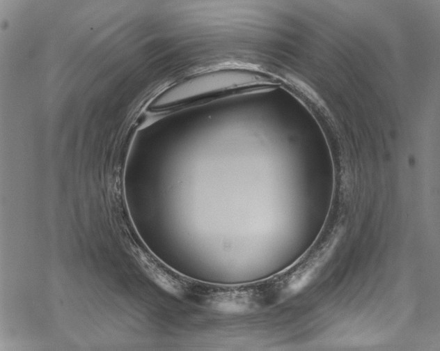 X0000068840793200605051300