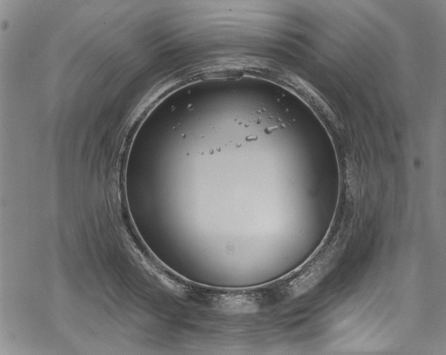 X0000068840794200605051300