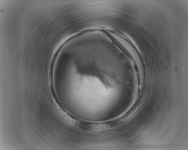 X0000068840795200605051300