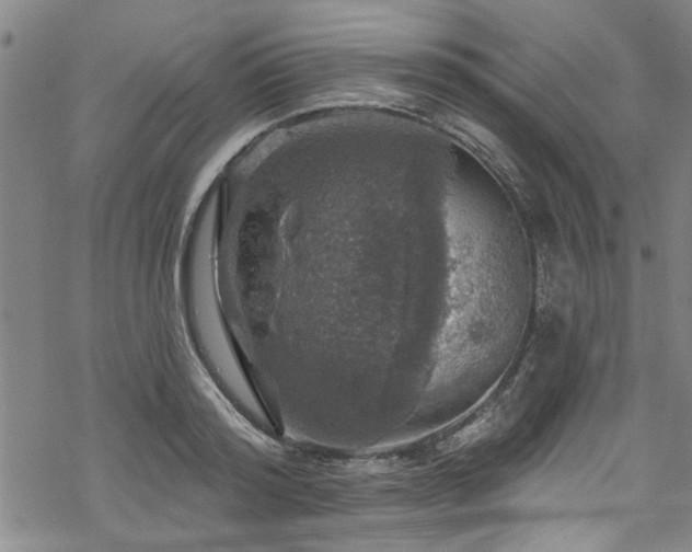 X0000068840796200605051300