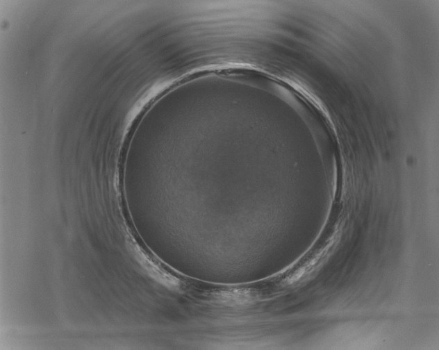 X0000068840797200605051300