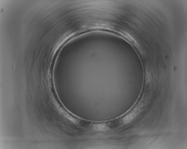 X0000068840798200605051300