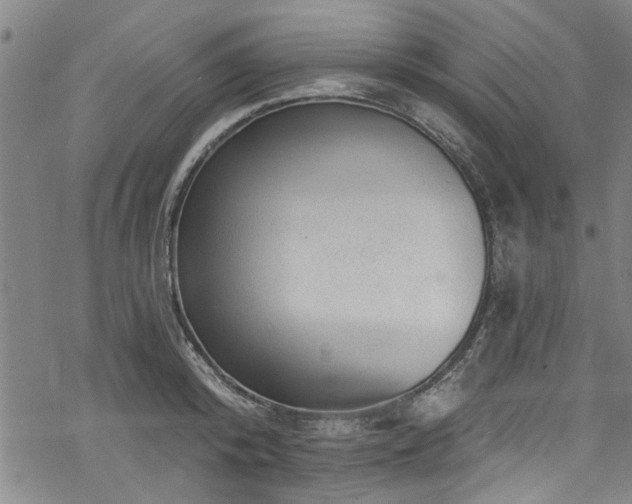 X0000068840800200605051300