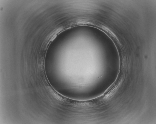 X0000068840801200605051300