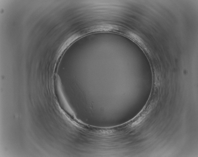 X0000068840802200605051300