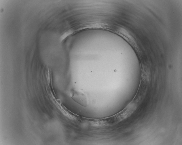 X0000068840804200605051300