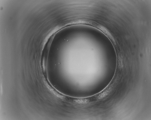 X0000068840805200605051300