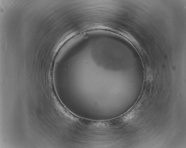 X0000068840806200605051300