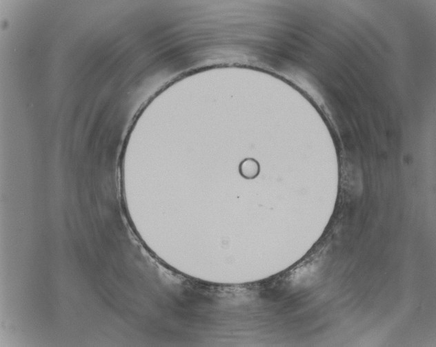 X0000068840807200605051300