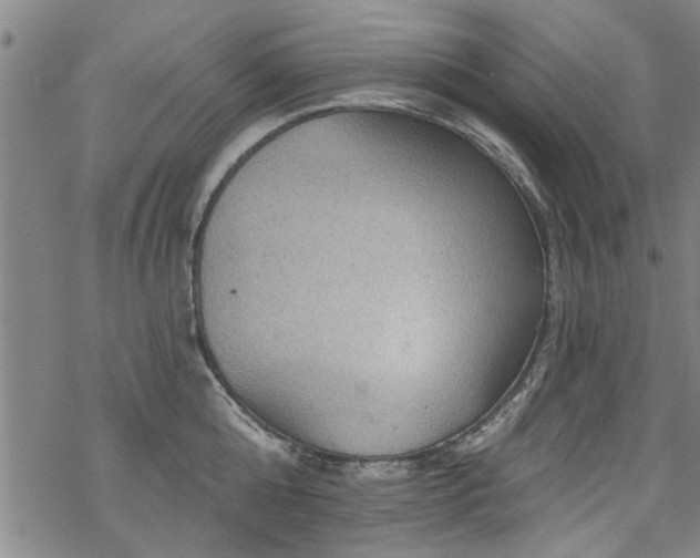 X0000068840808200605051300