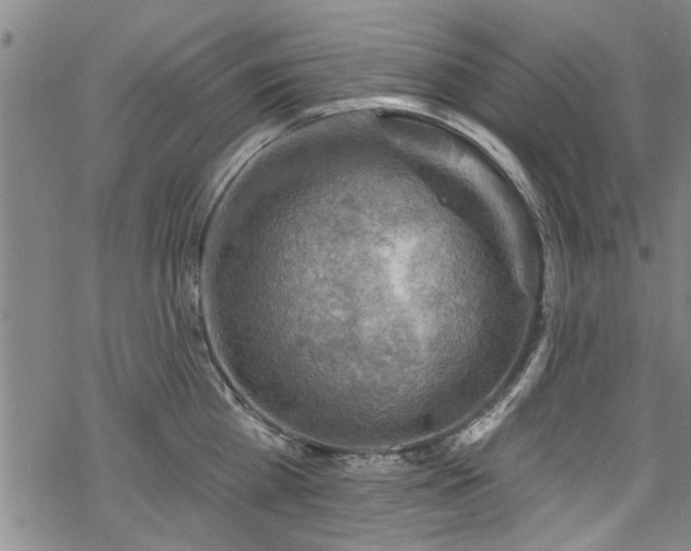 X0000068840809200605051300