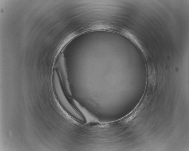 X0000068840810200605051300